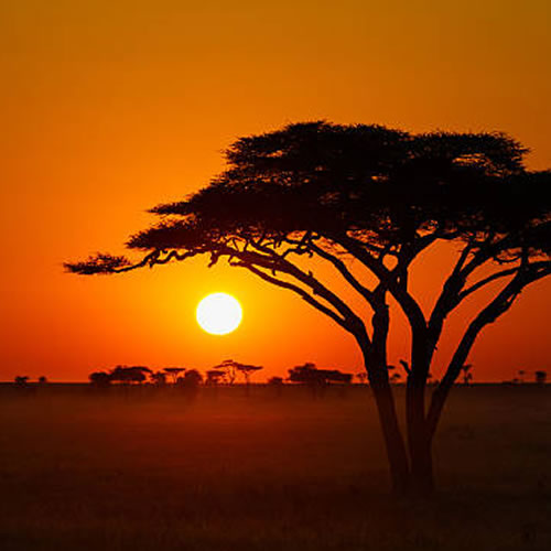 Travel the Most Beautiful Places in the East Africa - Zoom Tours & Travel