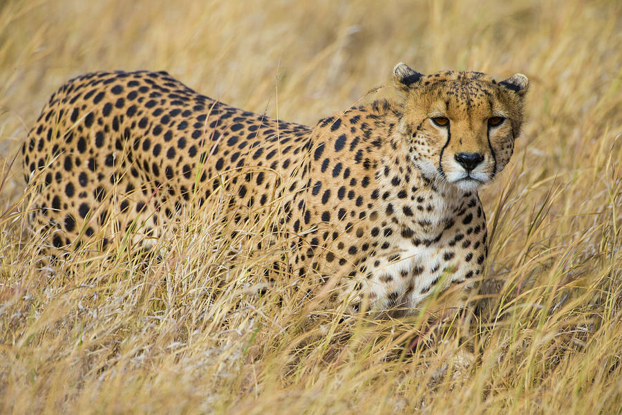 Day Trip to Tarangire National Park